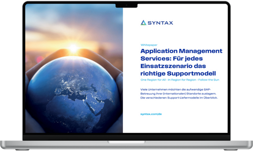 de-wp-ams-fuer-jedes-einsatzszenario-das-richtige-supportmodell